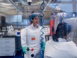 Laboratorim Wuhan Akui Memiliki 3 Jenis Virus Korona Kelelawar yang Hidup