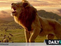 Bukan Raja Rimba, Ini 6 Fakta Menarik Tentang Singa