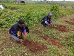 Penutup Tahun 2021, Perhutani Kerjasama dengan Masyarakat Lewat Penanaman Bibit Pohon