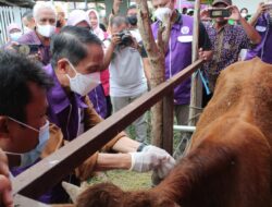 Bupati Nelson: Gorontalo Potensial di Sektor Peternakan