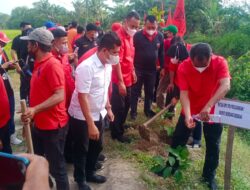 DPC PDI Perjuangan Sergai Tanam Ribuan Pohon di HUT ke – 49