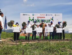 Wabup Malang Panen Raya Kentang di Desa Ngantru Ngantang