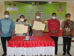 Nelson Jalin Kerja Sama Bupati Buol, Bidang Pengembangan Potensi Daerah