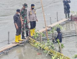 10.000 Pohon Mangrove Ditanam di Lokasi Wisata Alam Silau Laut