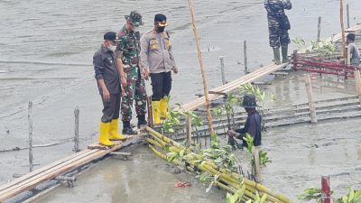 IMG-20220310-WA0046-6da0ecc4