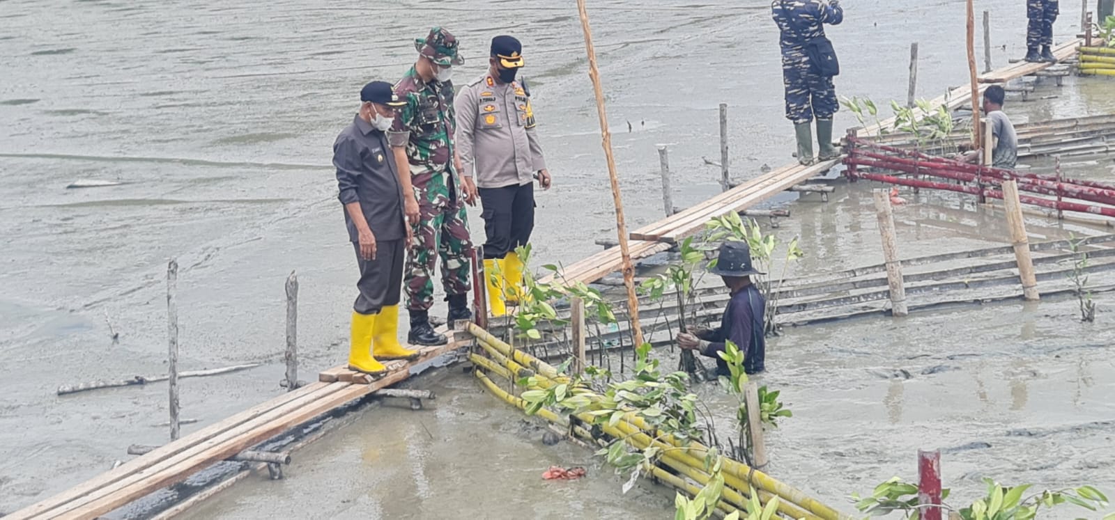 IMG-20220310-WA0046-6da0ecc4