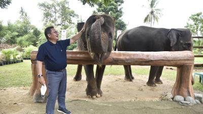 Momen Marten Taha Nikmati Keindahan Taman Satwa Lembah Hijau di Lampung