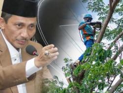 Bupati Nelson Warning PLN: Jangan Asal Tebang Pohon!