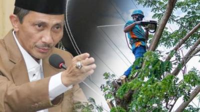 Bupati Nelson Warning PLN: Jangan Asal Tebang Pohon!