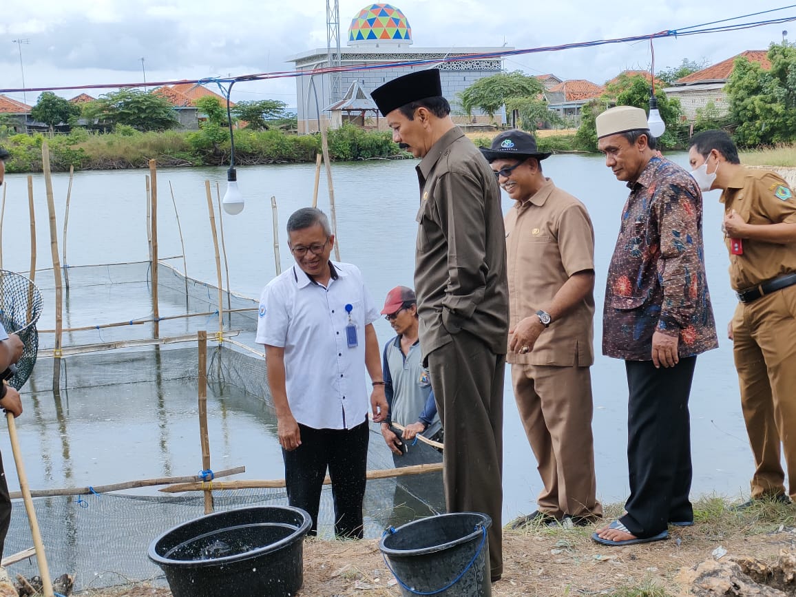 Pamekasan, Berita Pamekasan, Kerapu Cantang Pamekasan, Budidaya Kerapu Cantang, Pulau Madura, Berita Madura, Petani Garam, Desa Lembung, Kecamatan Galis, Madura, Wakil Bupati Pamekasan, Dr. Ir. H. RB Fattah Jasin