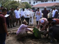 Ini Aktivitas Bupati Labuhanbatu di Hari Raya Idul Adha 2022