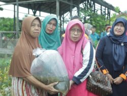 Ini Jenis Benih Ikan yang Diserahkan Ketua PKK Asahan di Desa Rawang