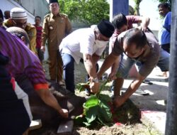 Sebanyak 13 Hewan Kurban Milik Marten Taha Tersebar di Wilayah Gorontalo