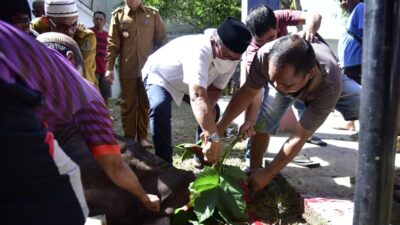 Sebanyak 13 Hewan Kurban Milik Marten Taha Tersebar di Wilayah Gorontalo