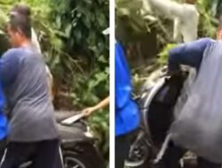 Kocak! Motor Dikira Hilang 2 Minggu, Ternyata Pemilik Lupa Tempat Memarkir, hingga Ditemukan Tertutup Semak Belukar