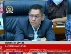 Profil Adies Kadir, Wakil Ketua Komisi III DPR yang Viral Salah Sebut Tas Hermes