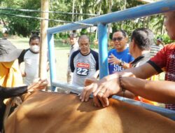 Pantau Apel Ternak, Begini Harapan Bupati Thariq Modanggu