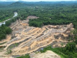 Progres PLTA Kayan, Pembangunan Jalan Capai 30 Persen