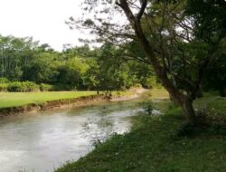 Desa Wisata Pemalang, Surga Dunia Penghilang Stres