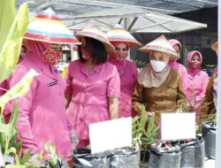 Distan Pohuwato Suport Pemanfaatan Pekarangan Rumah Jadi Lahan Produktif