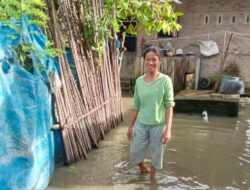 Banjir Kembali Melanda Sergai, Kali Ini di Kecamatan Bandar Khalipah Desa Juhar