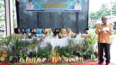 Tim Evaluasi PKK Sumut Kunjungi Desa Rawang Pasar IV