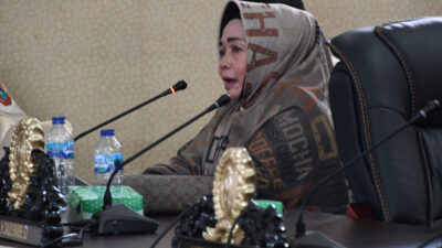 Dana Desa Untuk Kesejahteraan Masyarakat