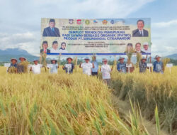 Jalin Kerjasama Sejak Lama, Bupati Bonebol Ajak Gubernur Ehime Panen Raya