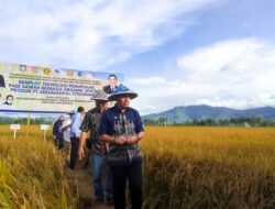 Kemajuan Bone Bolango Selama Kepemimpinan Hamim Pou