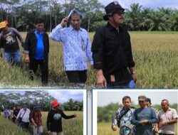 Ombusman RI dan Bappelitbang Sumut Lakukan Visit Lapangan di Labuhanbatu