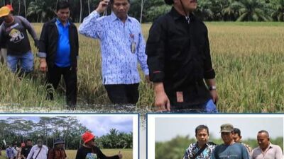 Ombusman RI dan Bappelitbang Sumut Lakukan Visit Lapangan di Labuhanbatu