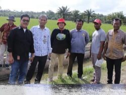 Tim Penilaian PPD 2023 Visit Lapangan di Desa Sei Rakyat dan Sei Nahodaris 