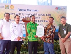Wujudkan Pertanian Berkelanjutan, Bupati Sergai Ikuti Panen Padi Klaster Padu Binaan BI