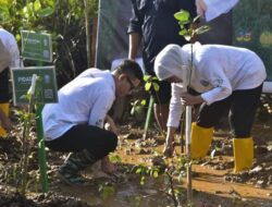 Festival Mangrove ke-4 Jatim di Trenggalek, Khofifah: Ayo Sedekah Oksigen