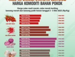 Harga Cabe Rawit di Gorontalo Turun Drastis, Berbeda dengan Cabe Merah Keriting