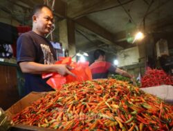 Situasi Pasar Gorontalo: Harga Cabe Merah dan Keriting Melonjak