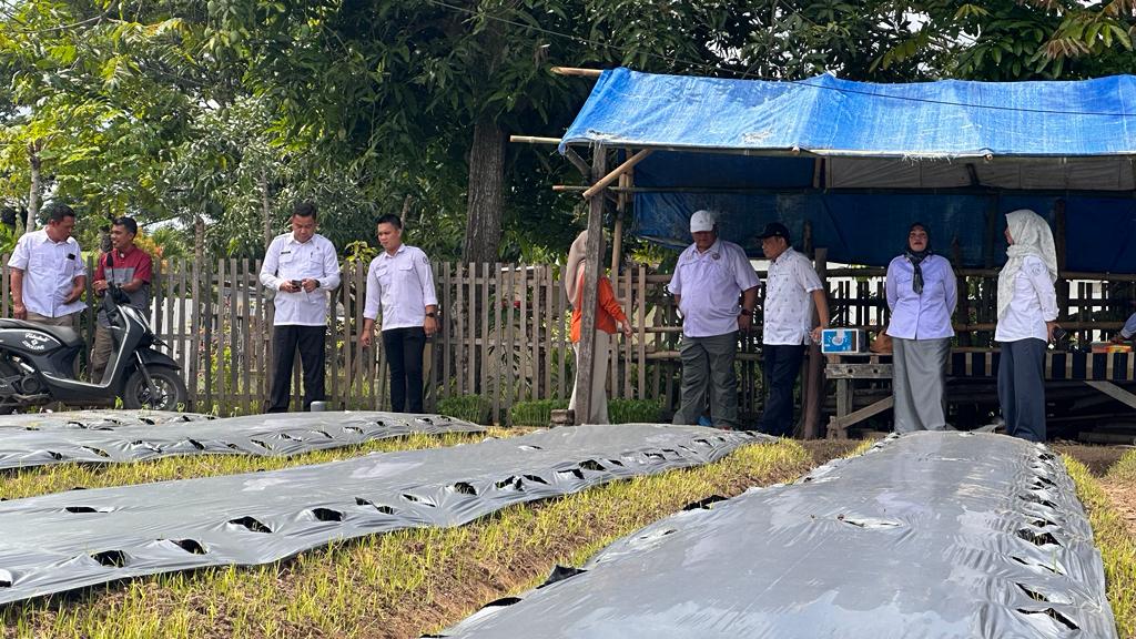 Komisi II DPRD Provinsi Gorontalo: Pengembangan Kawasan Cabai Mampu Tingkatkan Stabilitas Harga