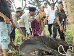 Idul Adha 1444 H, Pemkab Asahan Sembelih 125 Hewan Qurban