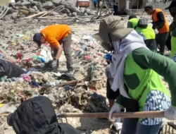 DLH-BEM Unair Dan Komunitas Pecinta LH Gelar Aksi Bersih Pantai Pulau Gili Ketapang
