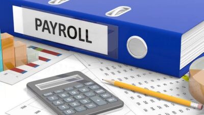 payroll software