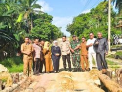 Plt Bupati Labuhanbatu Tinjau Jembatan Rusak