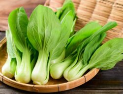 9 Manfaat Luar Biasa Sayur Pakcoy untuk Kesehatan Tubuh dan Jiwa