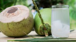 Air Kelapa Muda: Minuman Alami dengan Segudang Manfaat untuk Kesehatan