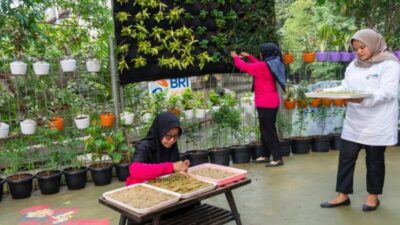 BRInita BRI Jadi Contoh Inovasi Perempuan dalam Urban Farming, Dorong Ketahanan Pangan dan Ekonomi Keluarga