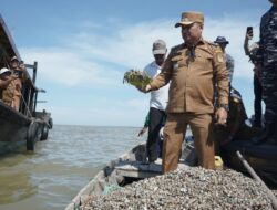 Bantu Perekonomian Nelayan, Wabup Asahan Tabur Benih Kerang Dara