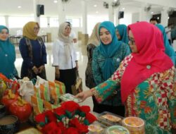 Tim Supervisi PKK Sumut Kunker ke Asahan