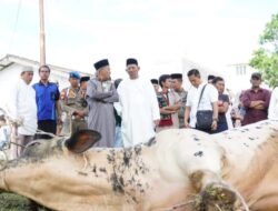 12 Sapi Qurban dari Bupati Syah Afandin, Wujud Nyata Kepedulian untuk Warga Langkat