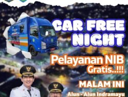 Kadis DPMPTSP Standby Pantau Masyarakat Yang Buat NIB Gratis Diacara Car Free Night Indramayu