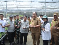 Bupati Taufik Dampingi Kementan RI Tinjau Lokasi Cetak Sawah di Asahan