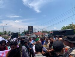 Kasus Hutan Tanjung Kaliang Menggema ke Pusat: Kejaksaan Agung Terima Laporan Lengkap